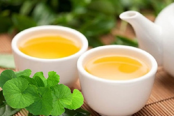 trà rau má, uống trà rau má giảm cân không